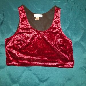 Give Em' Hell Crop Top